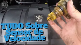 Defeitos e TROCA do Sensor de Velocidade do Peugeot 206 🔍