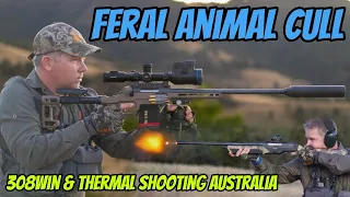 Action Packed Shooting Feral Pigs Foxes & Wild Deer || 308 Win Hunting FPV GoPro & Thermal Footage