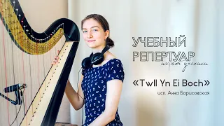 УЧЕБНЫЙ РЕПЕРТУАР для арфы: "Twll yn ei Boch" (free sheets | бесплатные ноты в описании)