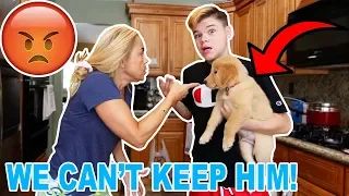 I GOT A PUPPY WITHOUT MY MOM KNOWING! *MAD*