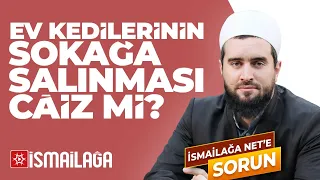 Ev Kedilerinin Sokağa Salınması Caiz mi? - Abdülhamid Türkeri Hoca Efendi