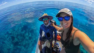 World Class Diving on the Great Barrier Reef (Sailing Popao) Ep.39