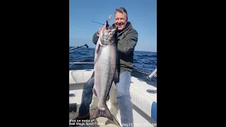 King Salmon Season 2022 - REEL MAGIC Sport Fishing - Bodega Bay