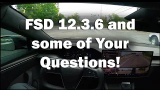 TESLA FSD 12.3.6 and some of your Questions