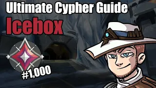 Ultimate Cypher Guide for Icebox