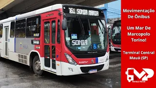 Um Mar De Torinos! - Terminal Central - Mauá (SP) | Movimentação De Ônibus #03