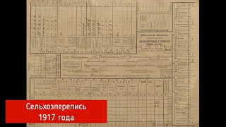 Генеалогические источники: Cельхозперепись 1917 года