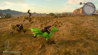 Final Fantasy XV Bug - Ignis Showing of His Chocobo Riding Skills