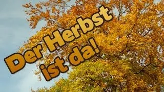 Learn German A1 | Autumn/Fall | German Vocabulary | Deutsch Für Euch 34