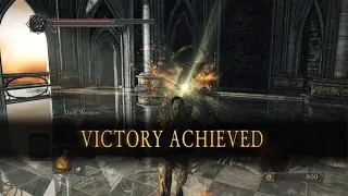 Dark Souls 2: Sir Alonne Commits Seppuku (No-Hit)