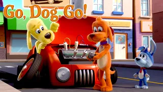 Runaway Car! | GO, DOG. GO! | Netflix