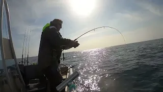 50kg halibut catch and release