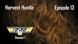 Top Crop | Episode 13 | Harvest Hustle