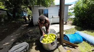 Cookout In The Village: The Breadfruit Feast🇫🇯