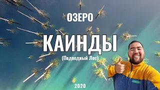 Озеро Каинды, Казахстан, 2020 год. Как доехать? Где находится? Дорога.