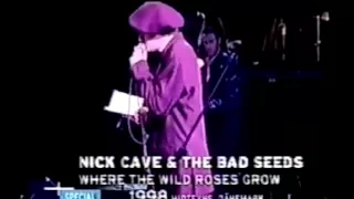 Nick Cave & Blixa Bargeld - Where the Wild Roses Grow (Live 1998)