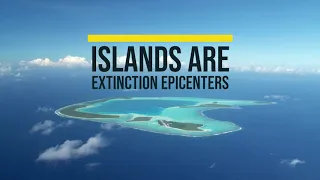 Islands are Extinction Epicenters - Birds to Reef.org