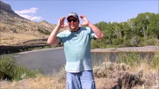 North Fork Shoshone River Bigfoot Sighting