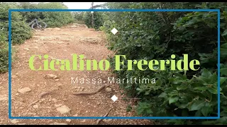 Massa Marittima - CICALINO FREERIDE - 4K