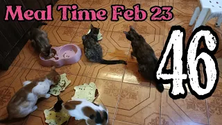 Meal Time | Feb 23 | Chespie | VLOG 46