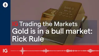 Gold is in a bull market: Rick Rule