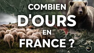 Cartographie de l'OURS en FRANCE