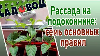 РАССАДА НА ПОДОКОННИКЕ: семь основных правил