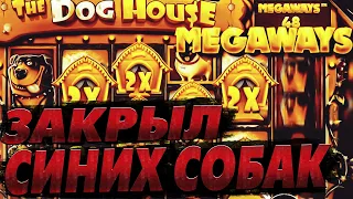 ДОРОГИЕ БОНУСКИ В THE DOG HOUSE ЗАНОС!