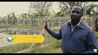 Solar Irrigation Water Pumping - Uganda - Africa