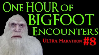 Bigfoot Ultra Marathon #8 - Over One Hour of Bigfoot Encounters - Squatch-A-Thon