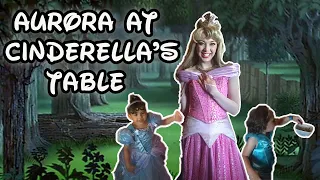 Princess Aurora Meet and Greet | Cinderella's Table Disney World