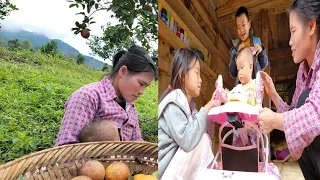 Go pick oranges in the hills and enjoy the beautiful view of nature - buy a chair for your child.