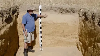 Examination of a deep sandy soil (Tenosol)