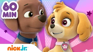 PAW Patrol - La Squadra dei Cuccioli | 1 ora dei Salvataggi più Coraggiosi di Skye e Zuma | Nick Jr.