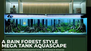 A Rain Forest Style | Mega Aquascape 300 x 60 x 60 cm | Client Tank at South Jakarta