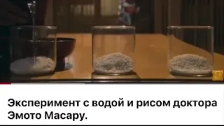 Эксперимент с водой и рисом Эмото Масару. Тело слышит КАЖДОЕ ВАШЕ СЛОВО.