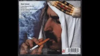 Frank Zappa: Sheik Yerbouti  " 1979"