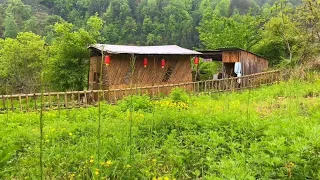 大山的田園生活，90小伙給粉絲養雞找土貨，慢日子悠哉快活似神仙