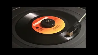 Janis Ian ~ "At Seventeen" vinyl 45 rpm (1975)