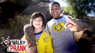 Anaconda | Walk the Prank | Disney XD