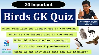 Birds Quiz | Birds gk quiz | Quiz on Birds | Animal GK quiz | Birds question and answer for kids