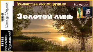 К. Паустовский. Золотой линь (без муз) - чит. Александр  Водяной