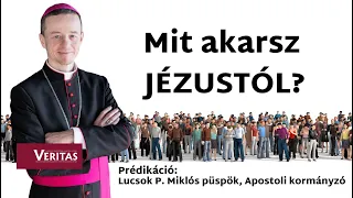 Mit akarsz Jézustól? Prédikáció: Lucsok P. Miklós püspök, Apostoli kormányzó