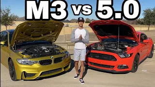 F80 BMW M3 vs Ford Mustang 5.0 | ROLL RACE!