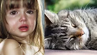 САМЫЙ ГРУСТНЫЙ РОЛИК НА СВЕТЕ.😢 НЕНУЖНЫЙ КОТ😿. СТИХ