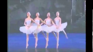 Tchaikovsky: Dance of little Swans piano version