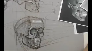 Дарья Остапенко о том, как правильно рисовать череп человека