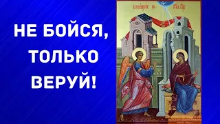 СВЯЩЕННИК РЯДОМ. Светлый Праздник Благовещения. Ответы на Ваши вопросы. Часть2.