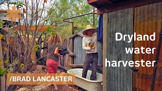 Dryland-harvesting home gathers sun, rain, food, & more