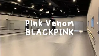 Pink Venom - BLACKPINK [empty dance studio version]